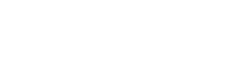 NPI connects logo