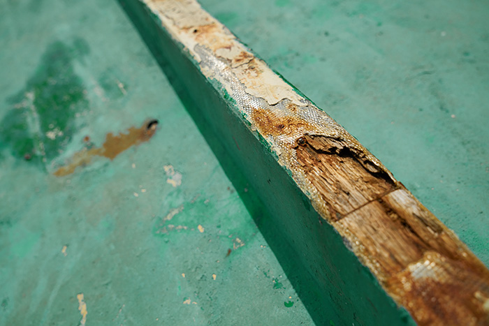 A wooden board shows signs of termite damage and wood rot.